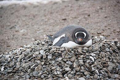 《戴森球计划》战斗系统细节公布 对抗叛变AI模块